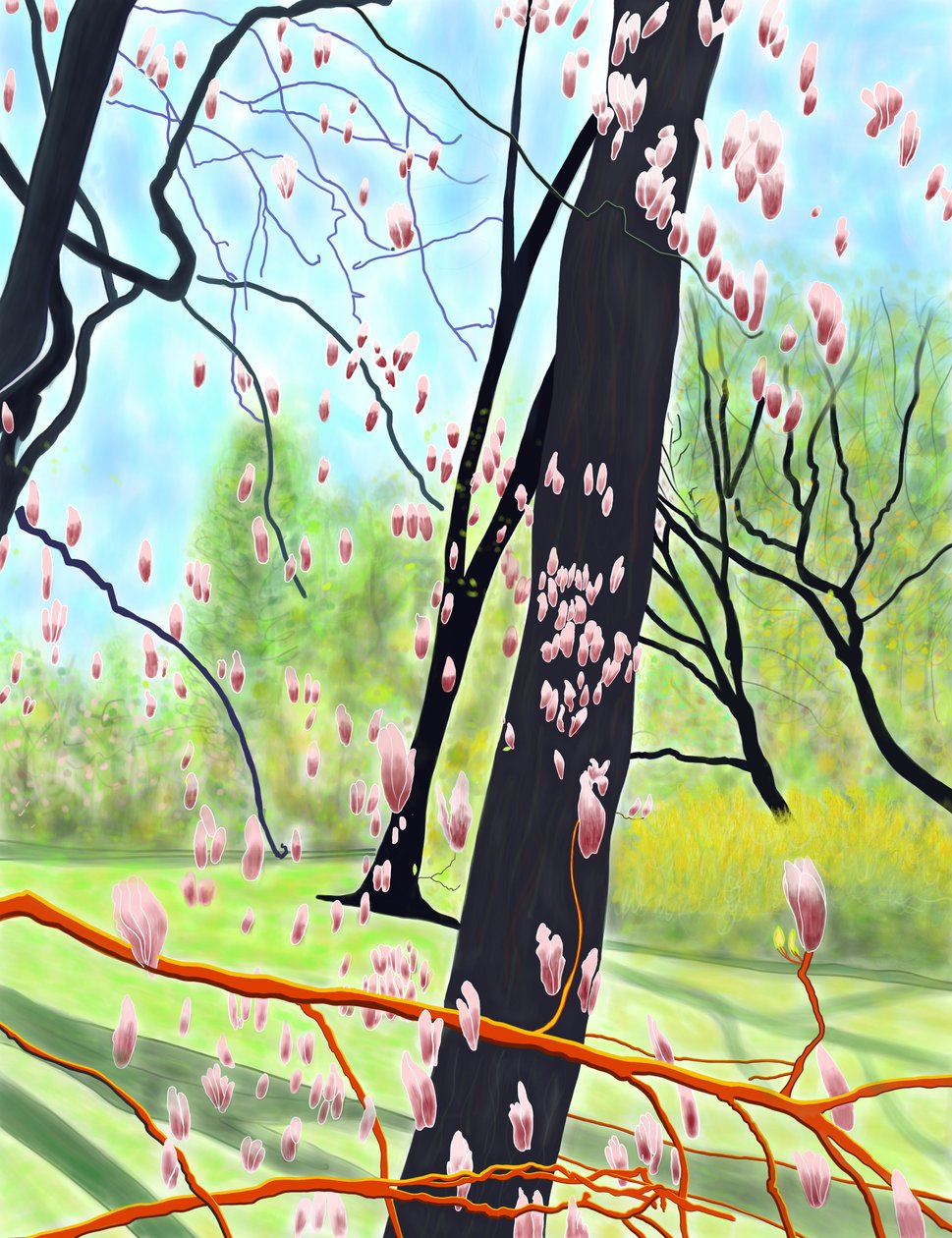 Tulpenbaum von Evan Sklar
