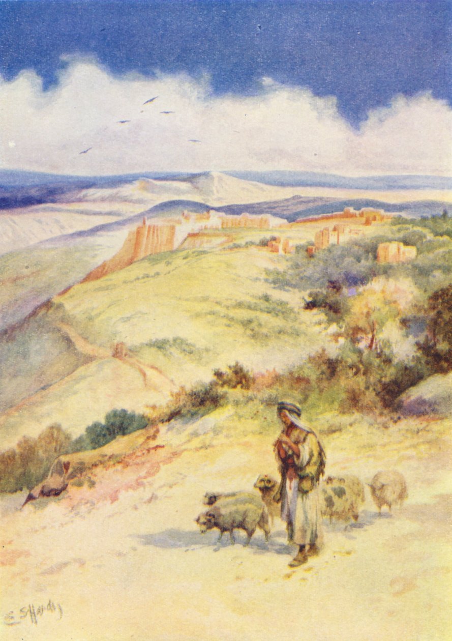 David der Hirtenjunge von Evelyn Stuart Hardy