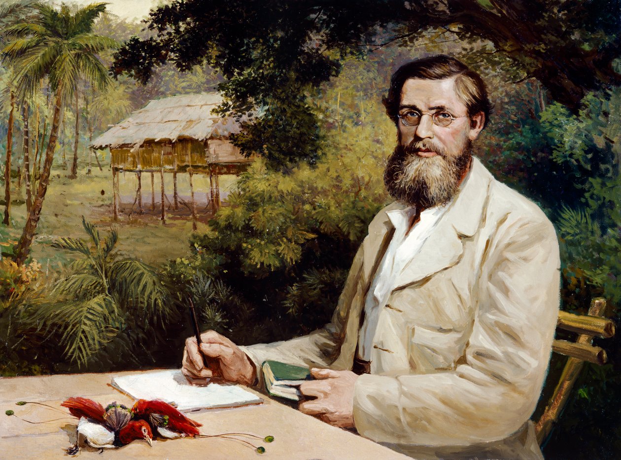 Alfred Russel Wallace von Evstafieff Evstafieff