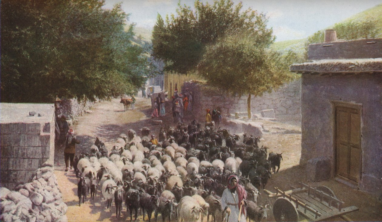 Palästina, ca. 1930er Jahre von Ewing Galloway