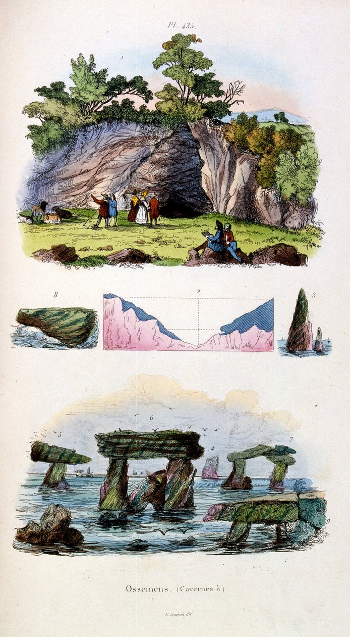 Botanische und zoologische Illustration von F. E. Guerin. Aus Dictionnaire pittoresque d