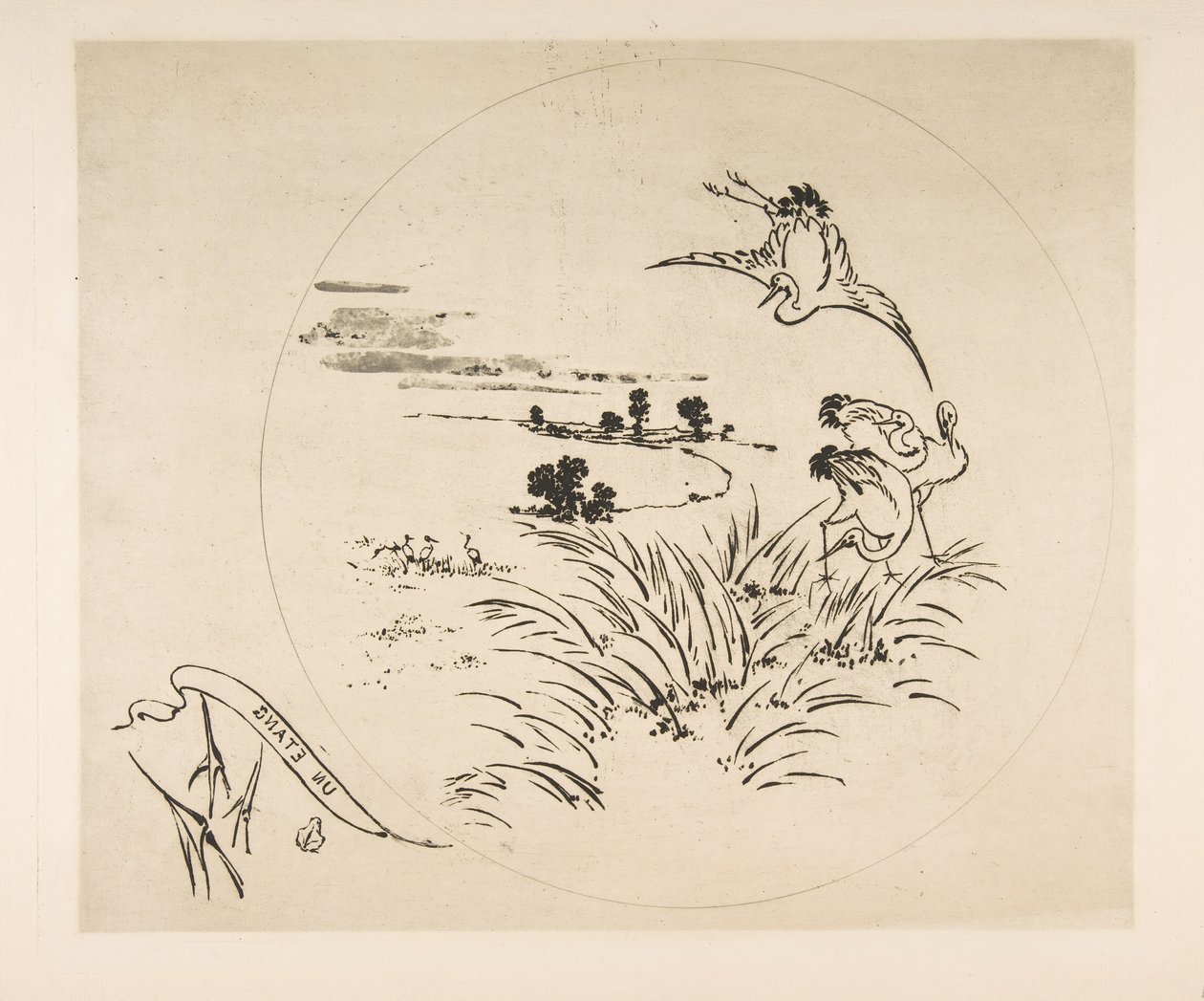 Dekoration für einen Teller: Ein Teich, 1870 von Felix Bracquemond
