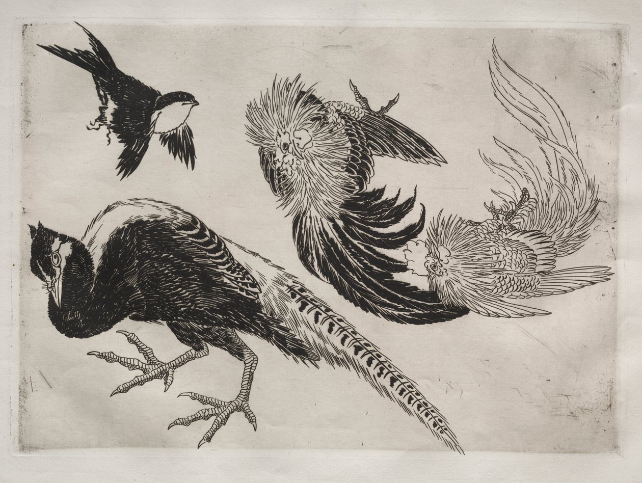 Tafelservice (Rousseau-Service): Fasane und Vogel (Nr. 18) von Felix Bracquemond