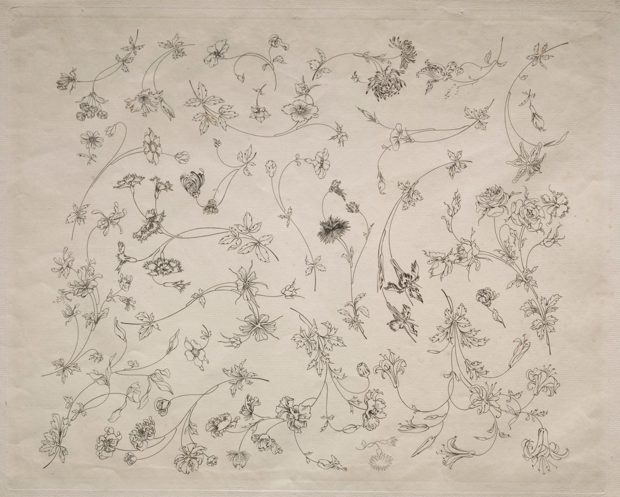 Blumendesigns für Teller und Ränder (Nr. 14) von Felix Bracquemond