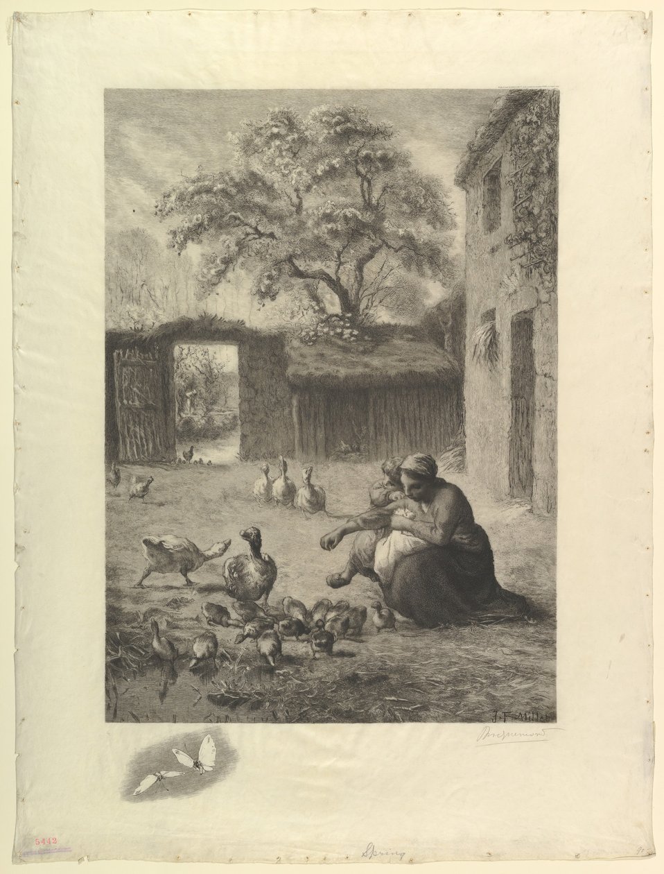 Der Frühling, nach einem Pastell von Millet von Felix Bracquemond