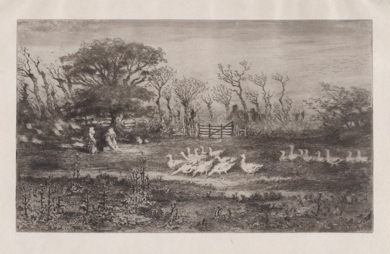 Gänse, 1860-98 von Felix Hilaire Buhot