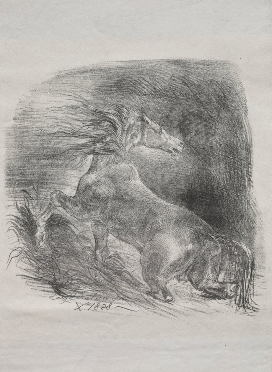 Das wilde Pferd oder erschrockenes Pferd verlässt das Wasser, 1828 von Ferdinand Victor Eugene Delacroix