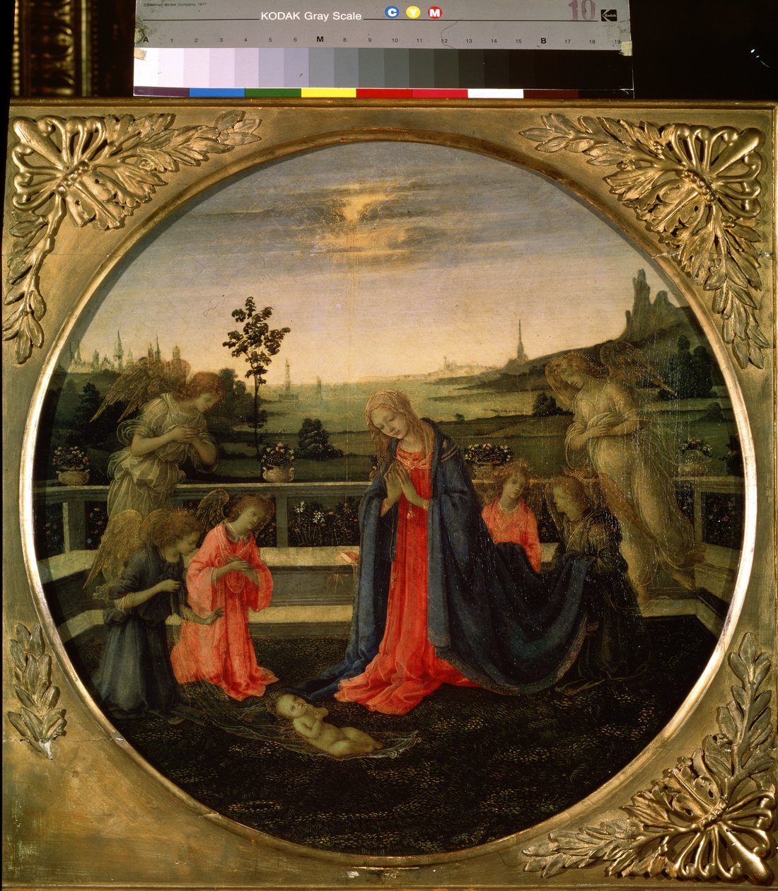 Die Anbetung des Christuskindes von Filippino Lippi