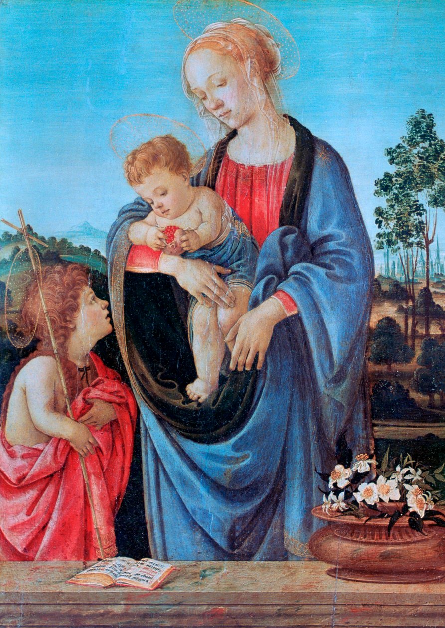 Die Jungfrau und das Kind mit dem heiligen Johannes, 1480 von Filippino Lippi