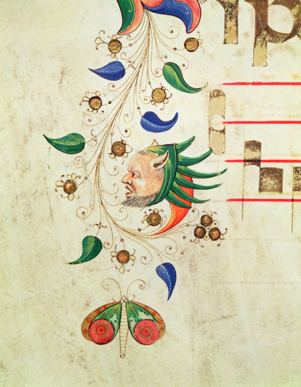 Missale 515 f.72v Zoomorpher Blatt-Rand, Detail aus einem Chorbuch von Filippo di Matteo Torelli