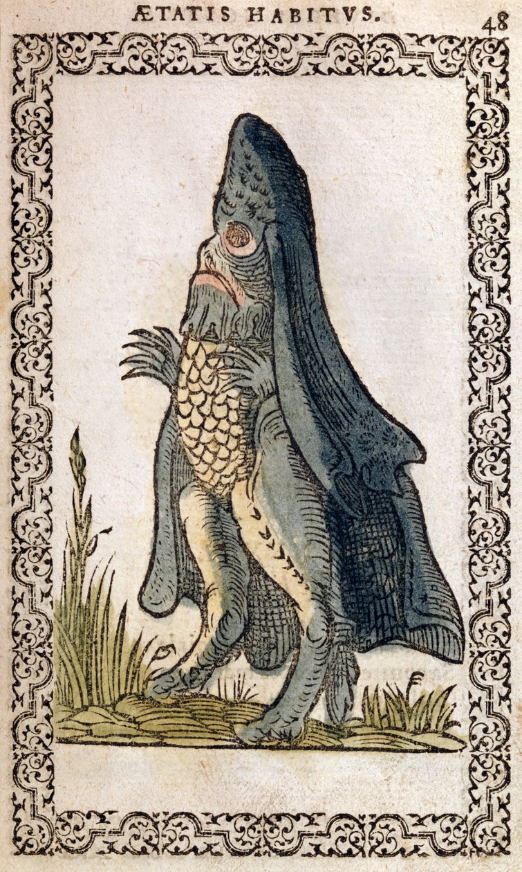 Der Meeresbischof oder Seemonster, Illustration aus Omnium fere gentium nostraeque aetatis Nationum Habitus et Effigies von Jean Sluperji, Antwerpen, 1572 (Farbholzschnitt) von Flemish School