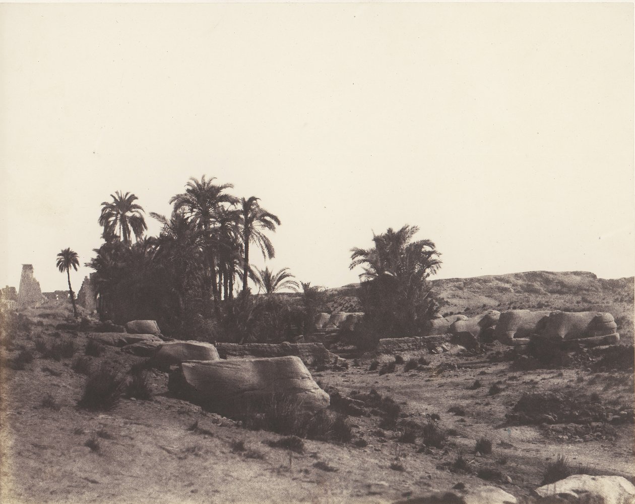 Karnak Theben, Avenue de Sphinx - Vue Générale Prise du Point G von Félix Teynard