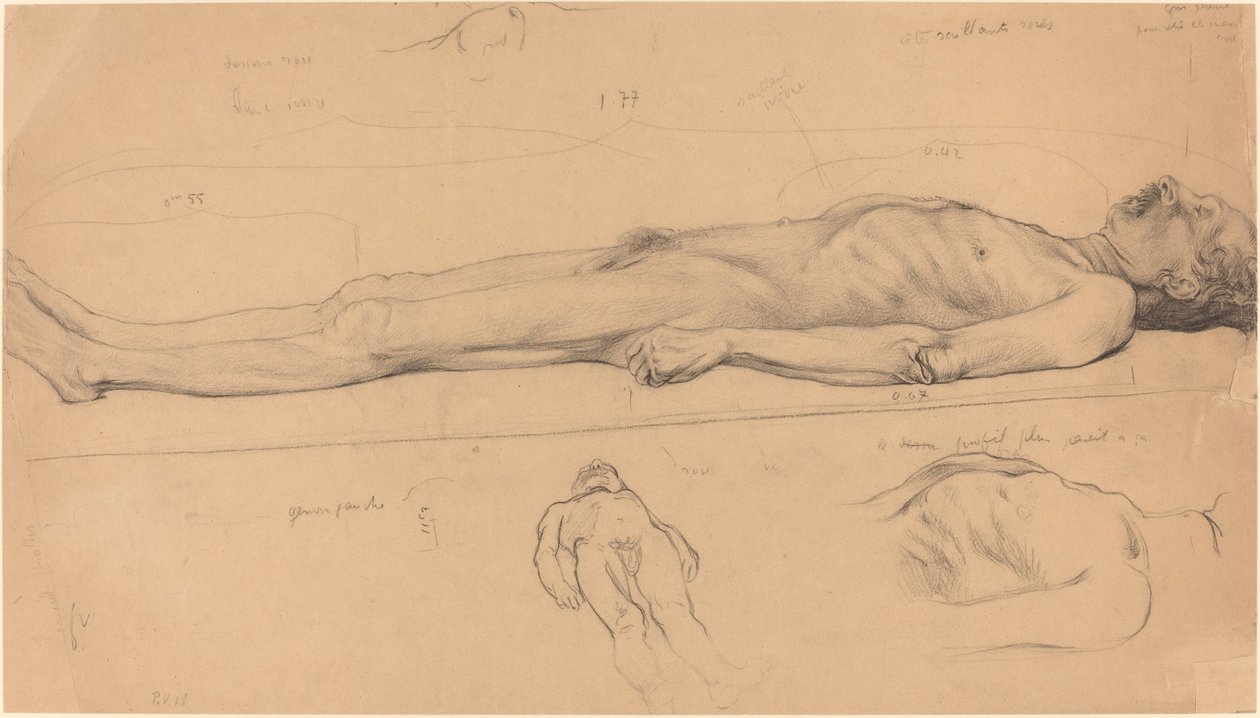Die Leiche (Studie für den toten Christus) von Félix Vallotton