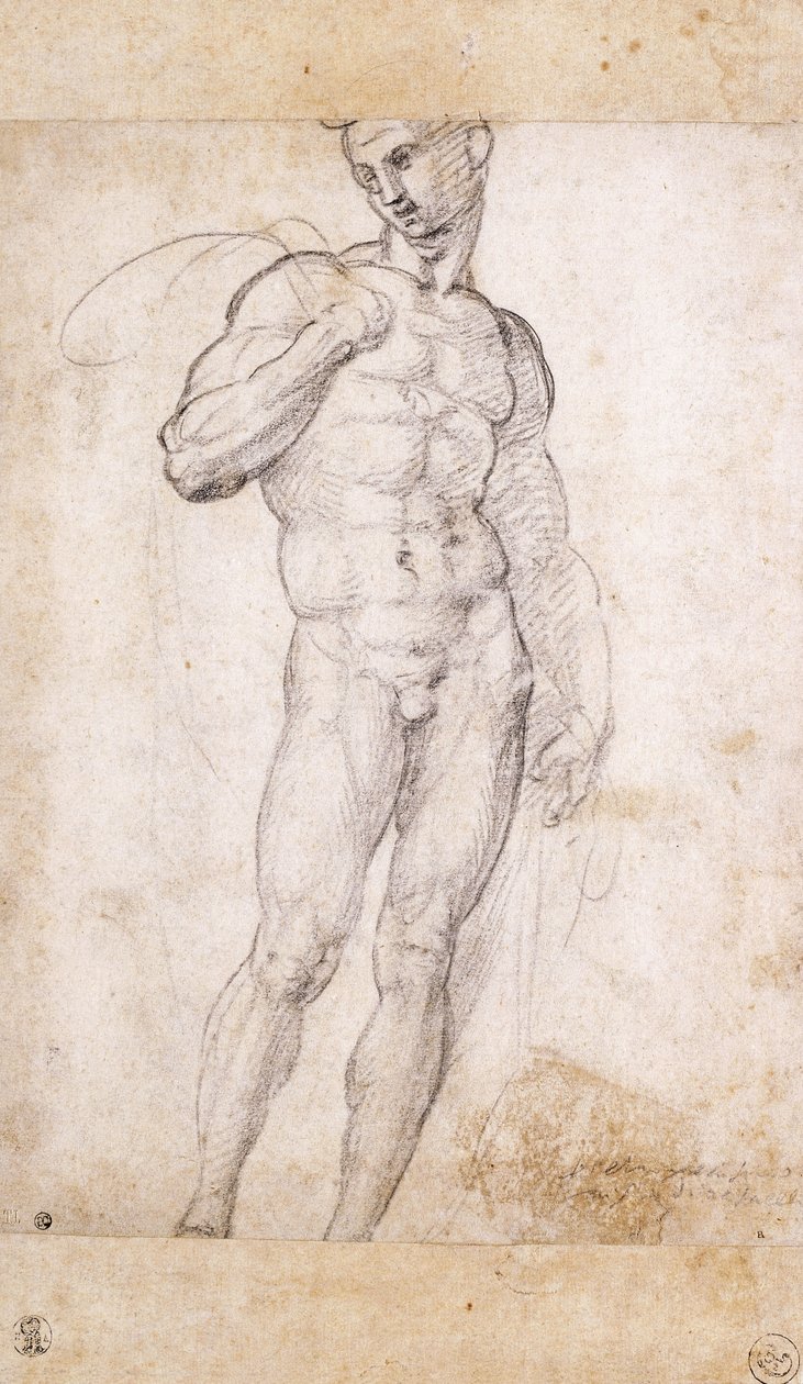 Ein Akt, der einen Umhang über die Schultern hält von Fra Bartolomeo