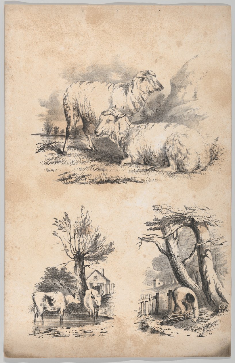 Vignette mit zwei Schafen, Vignette mit zwei Kühen in einem Teich und Vignette eines Holzsammlers, 1847 von Frances Flora Bond Palmer