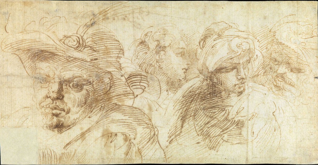 Studien von Köpfen von Francesco Brizio