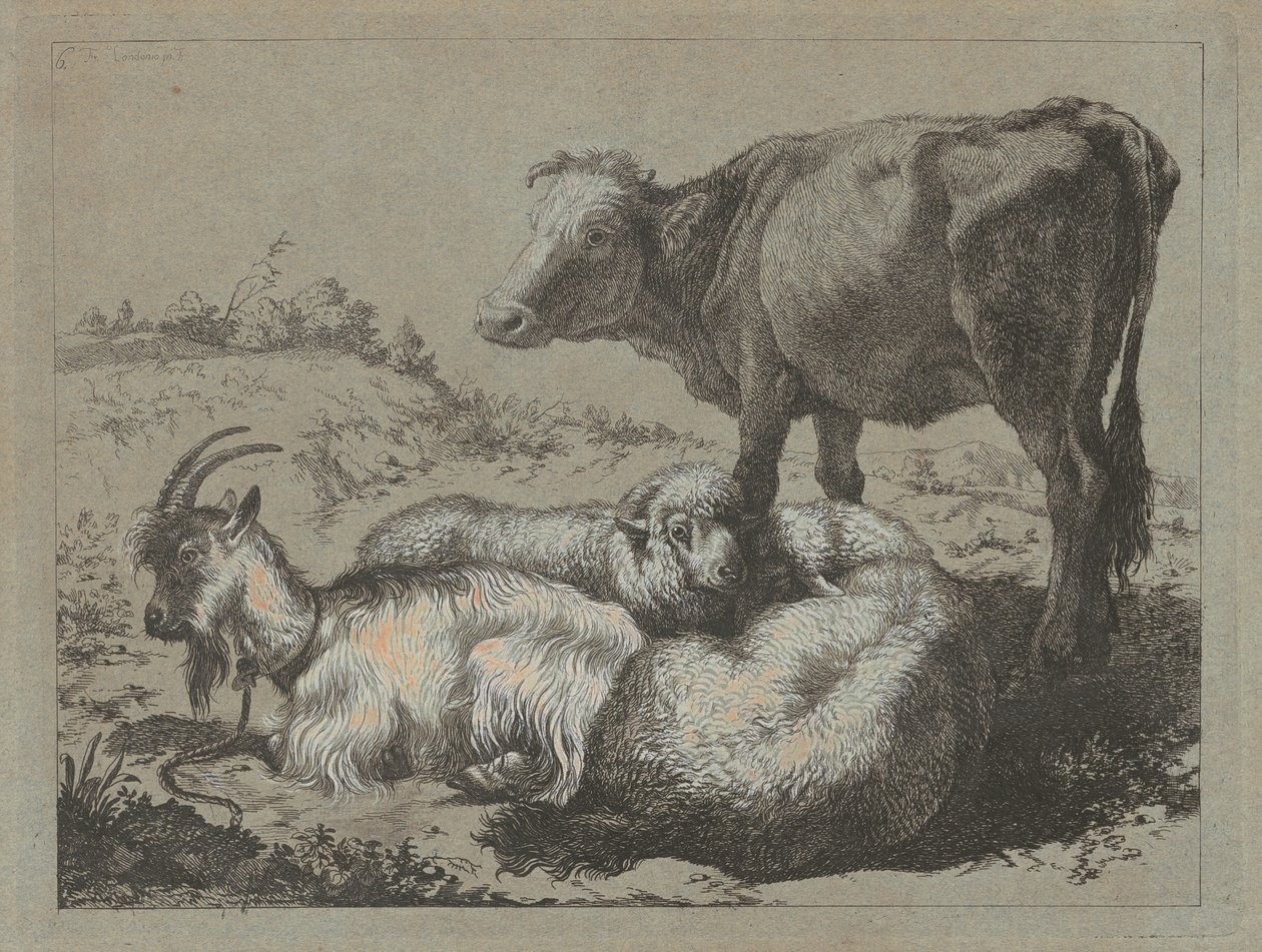 Stehender Ochse, zwei Schafe und eine Ziege, ca. 1762 von Francesco Londonio