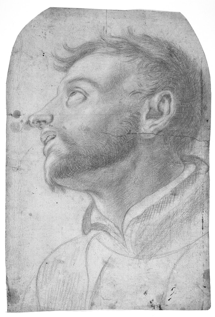 Kopf eines Mannes, der nach oben schaut von Francesco Solimena