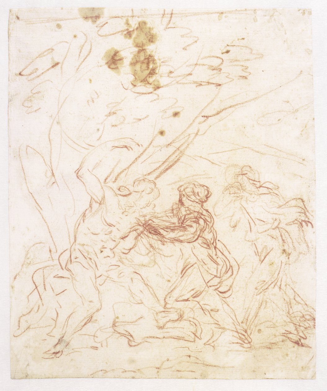 Der heilige Sebastian wird von der heiligen Irene gepflegt von Francesco Solimena