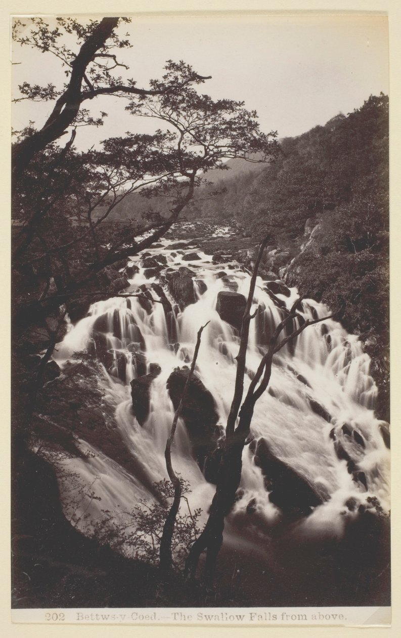 Bettw-s-y Coed, Die Schwalbenfälle von oben von Francis Bedford