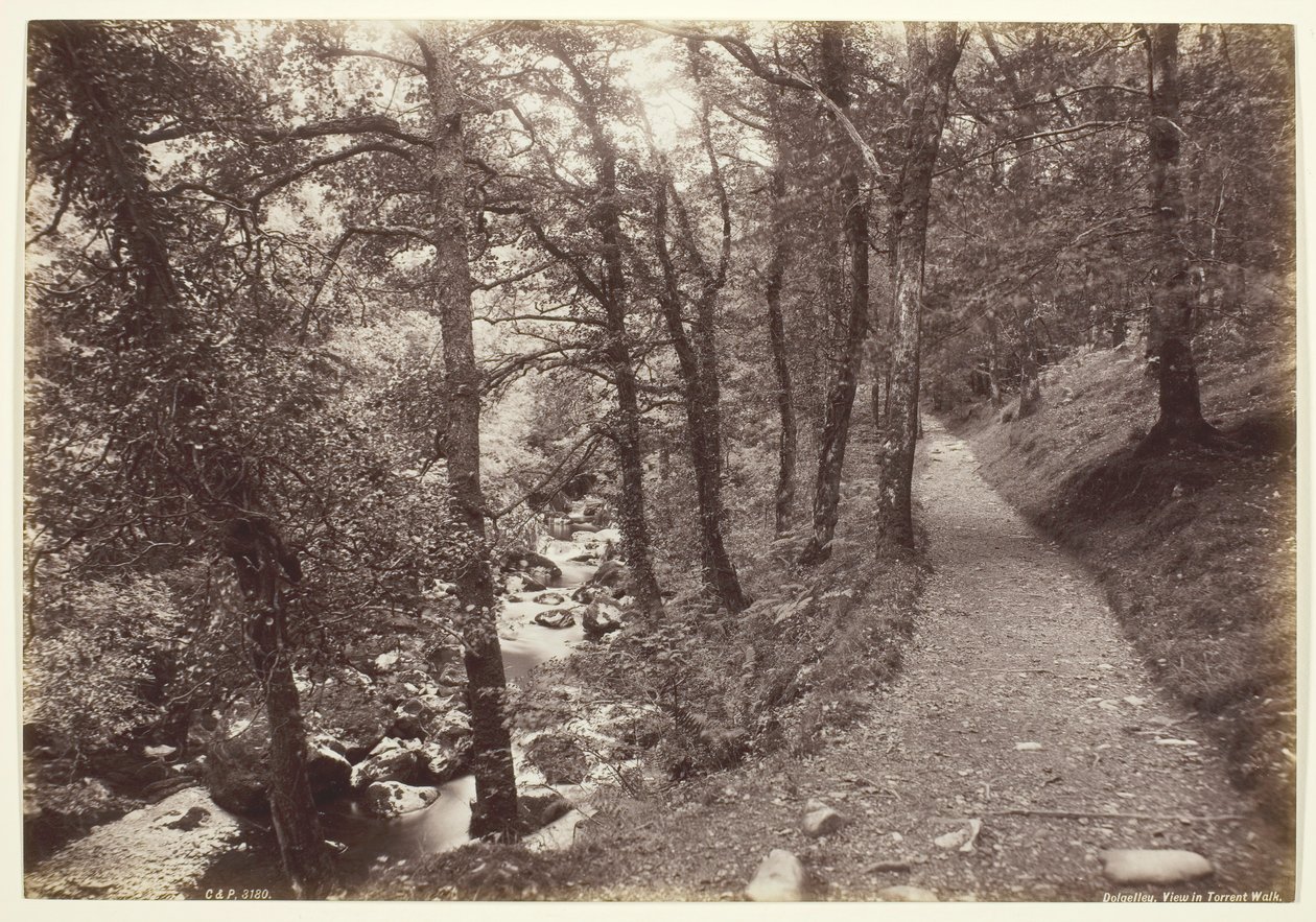 Dolgelley, Ansicht im Torrent Walk von Francis Bedford