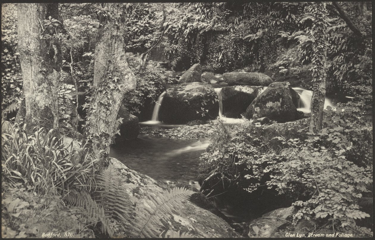 Glen Lyn, Bach und Laub von Francis Bedford