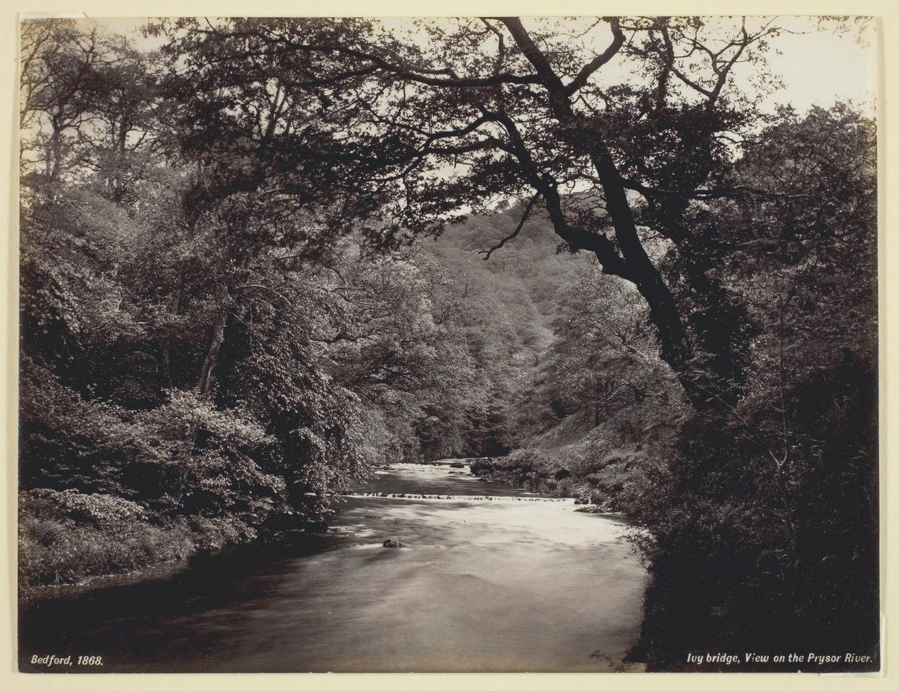 Ivy Bridge, Blick auf den Prysor River, 1860 von Francis Bedford