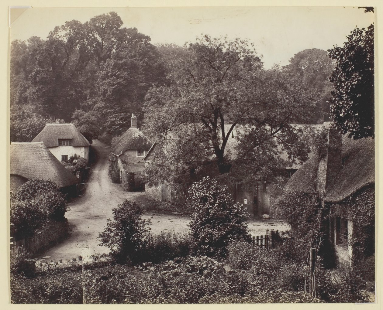 Ohne Titel [Reetgedeckte Hütten], 186094 von Francis Bedford