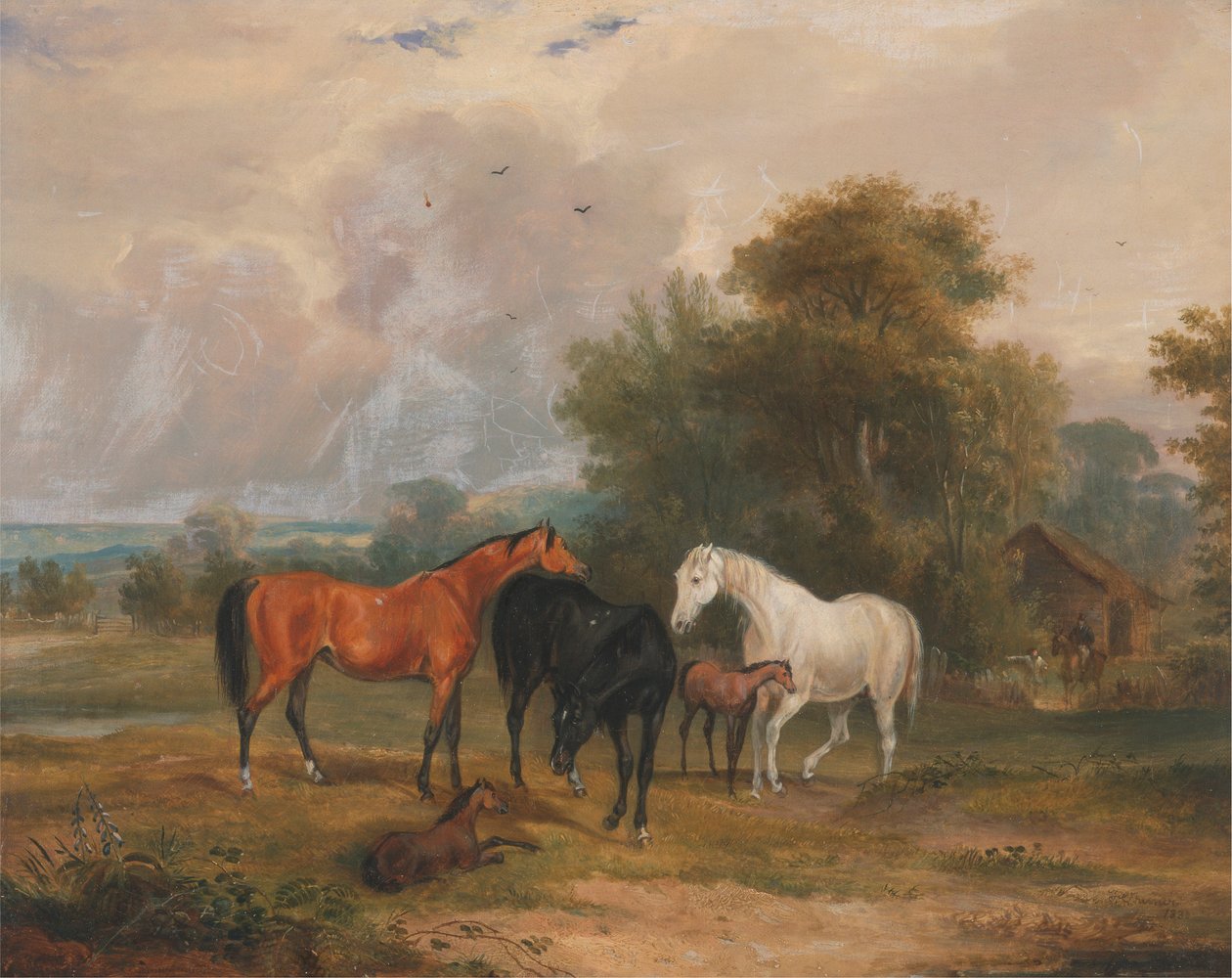 Weidende Pferde: Stuten und Fohlen auf einer Wiese von Francis Calcraft Turner