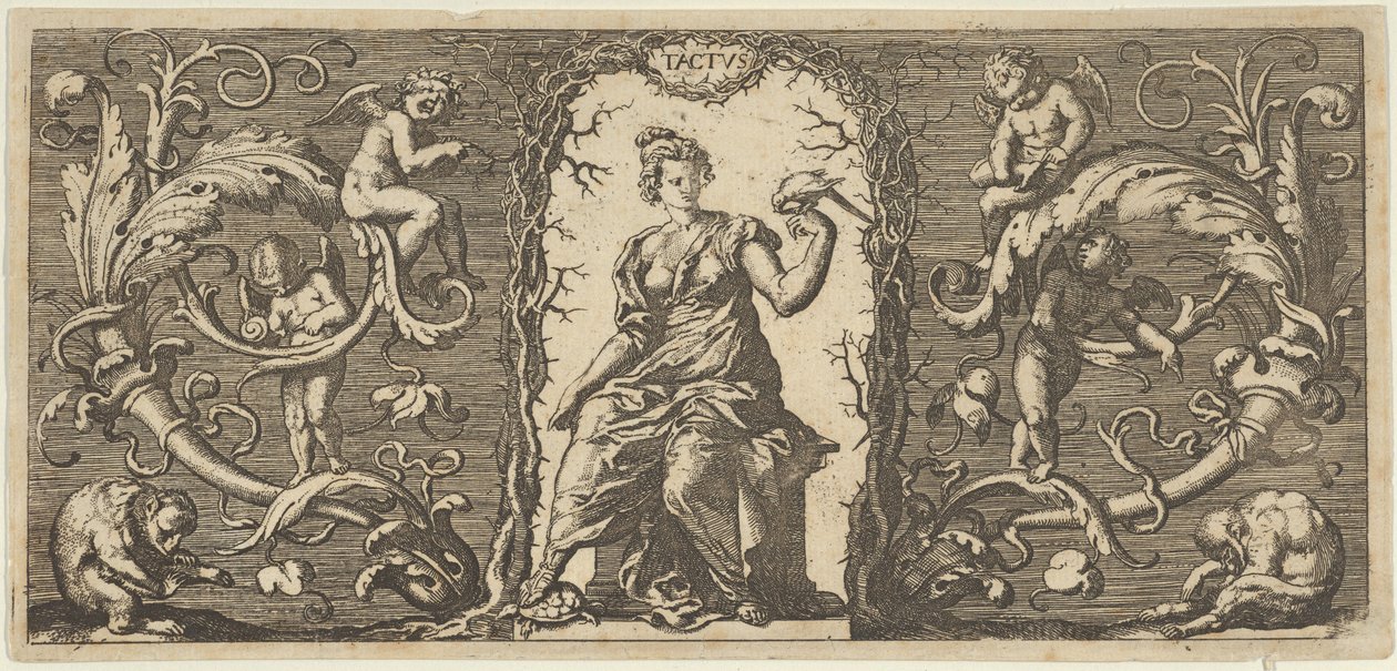 Berührung Tactus, aus Quinque Sensuum Fünf Sinne, ca. 1655 von Francis Cleyn