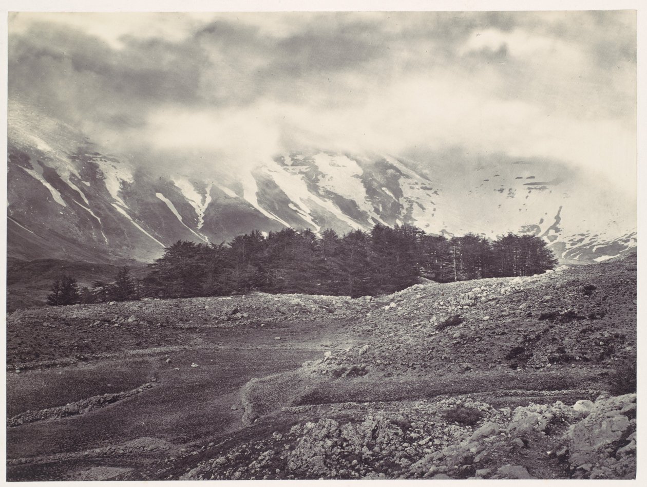 Fernsicht auf die Zedern des Libanon von Francis Frith