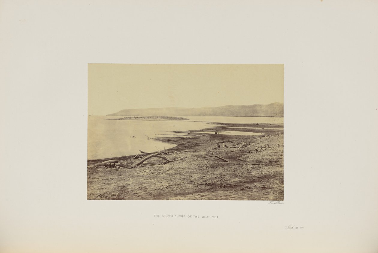 Die Nordküste des Toten Meeres von Francis Frith