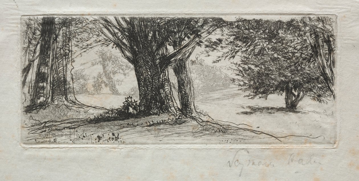 Stechpalmenfeld von Francis Seymour Haden