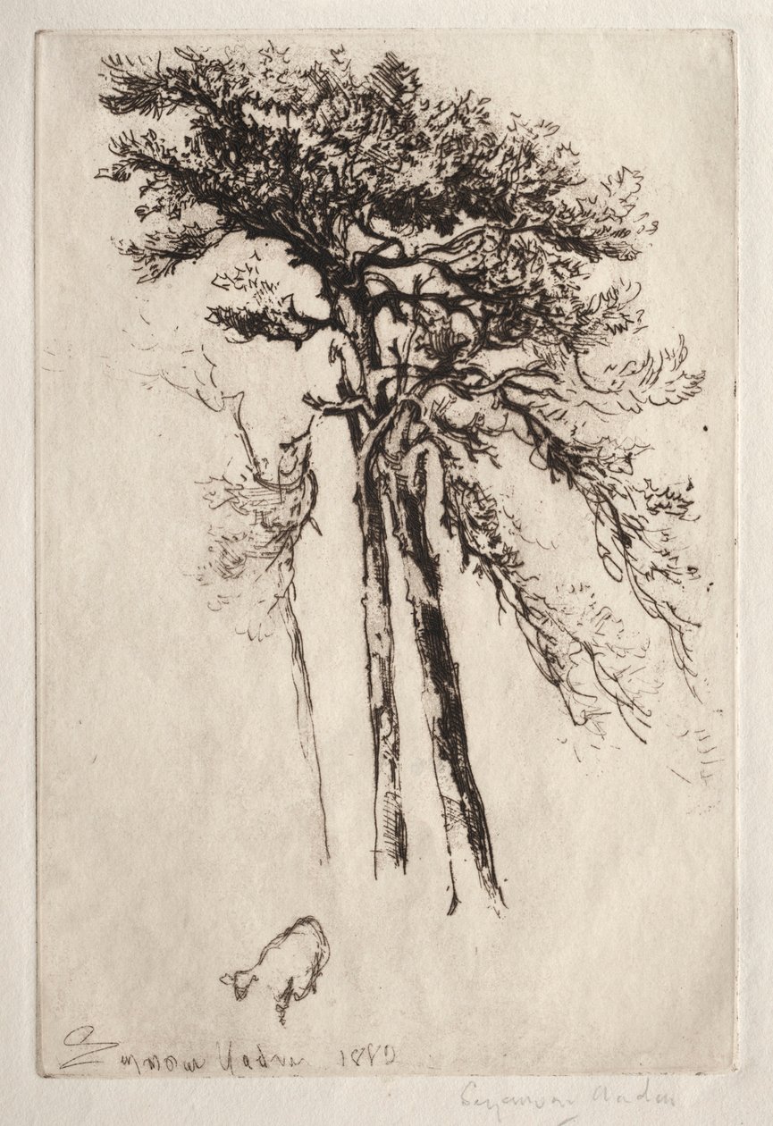 Der neueste Baum, 1882 von Francis Seymour Haden