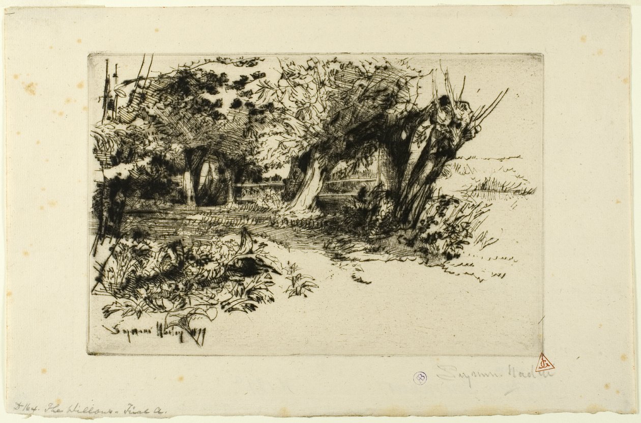 Die Weiden von Francis Seymour Haden