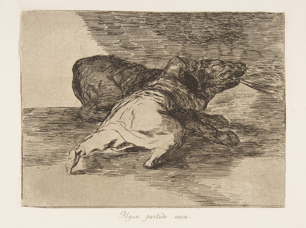 Tafel 40 aus Die Schrecken des Krieges Los Desastres de La Guerra: He ge... von Francisco de Goya