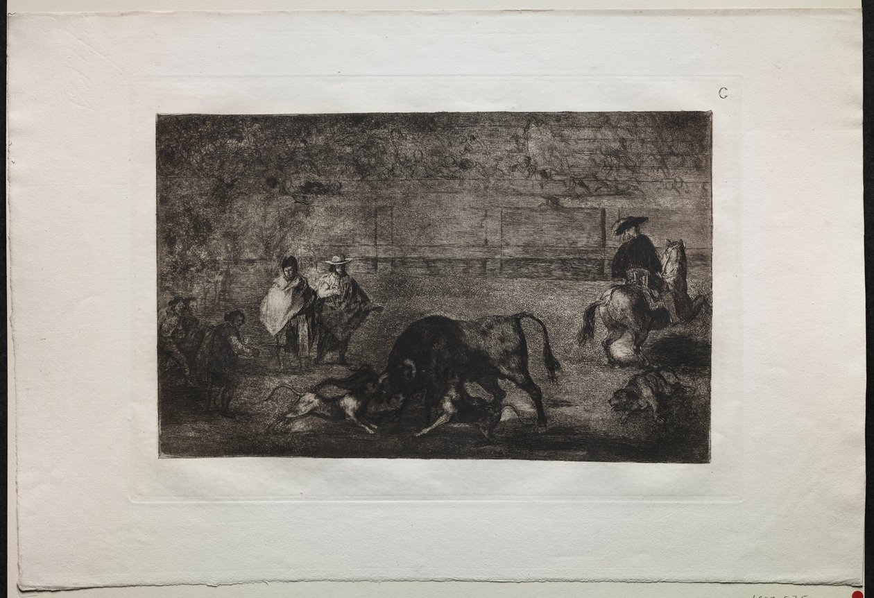Stierkämpfe: Der Hund auf den Stier losgelassen, 1876 von Francisco de Goya