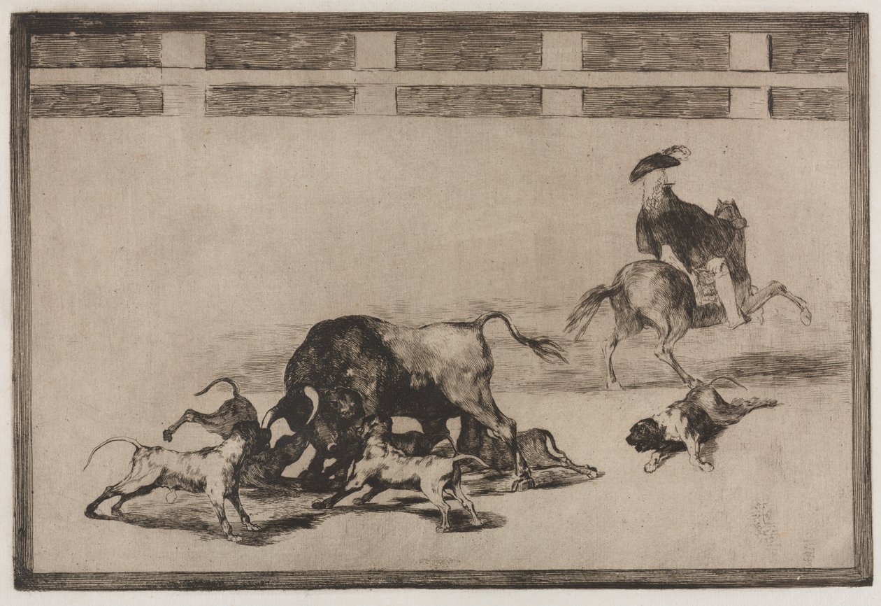 Stierkämpfe: Sie lassen Hunde auf den Stier los von Francisco de Goya