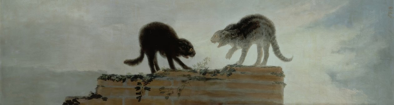 Kämpfende Katzen von Francisco de Goya