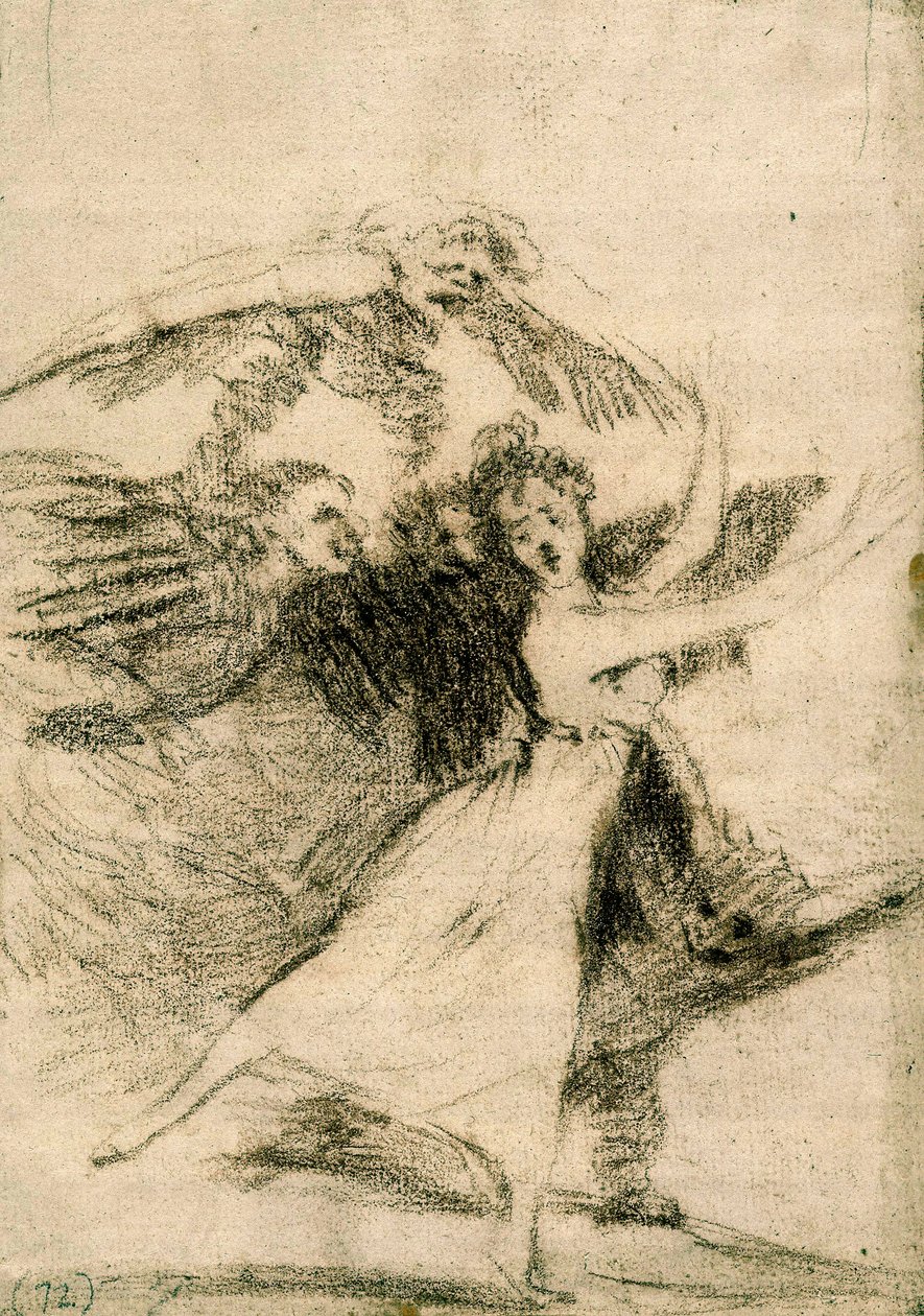 Los Caprichos: Du wirst nicht entkommen (No te escaparàs) von Francisco de Goya