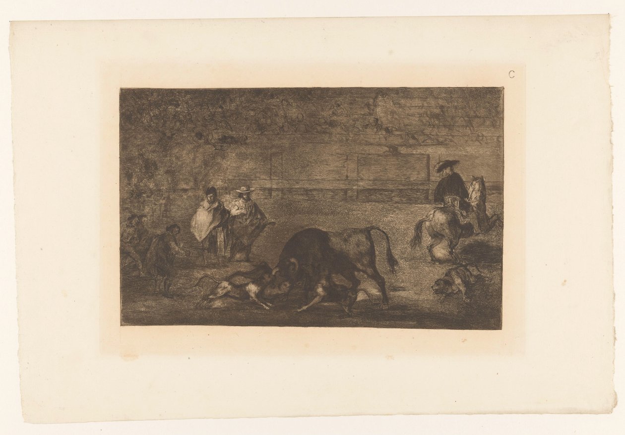 Stier von Hunden angegriffen von Francisco de Goya