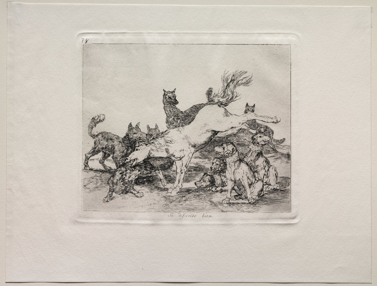 Die Schrecken des Krieges: Er verteidigt sich gut von Francisco de Goya