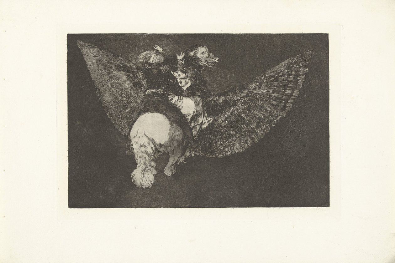 Fliegende Torheit von Francisco de Goya