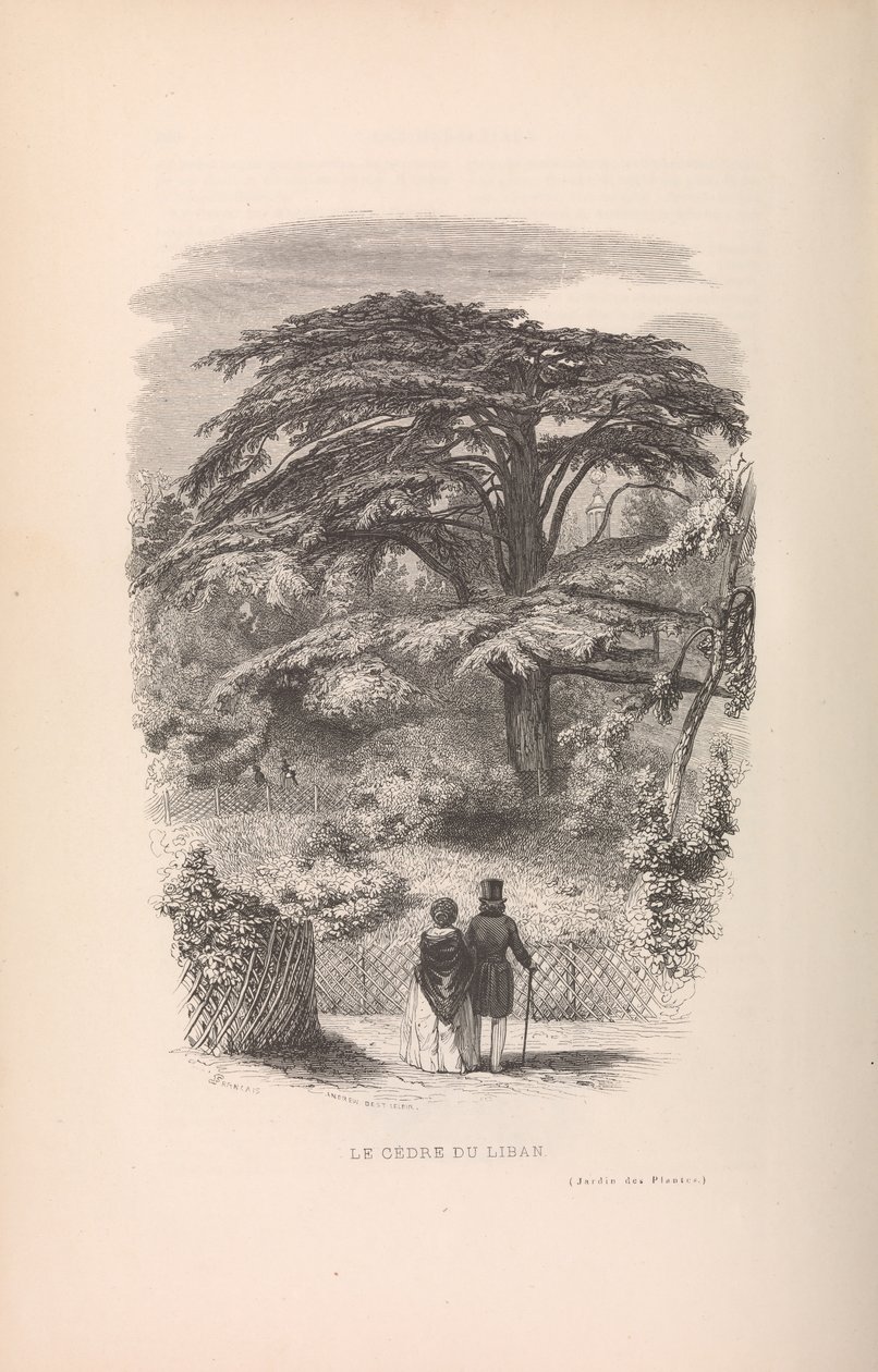 Der Jardin des Plantes, Beschreibungen und Sitten der Säugetiere von Francois Boitard