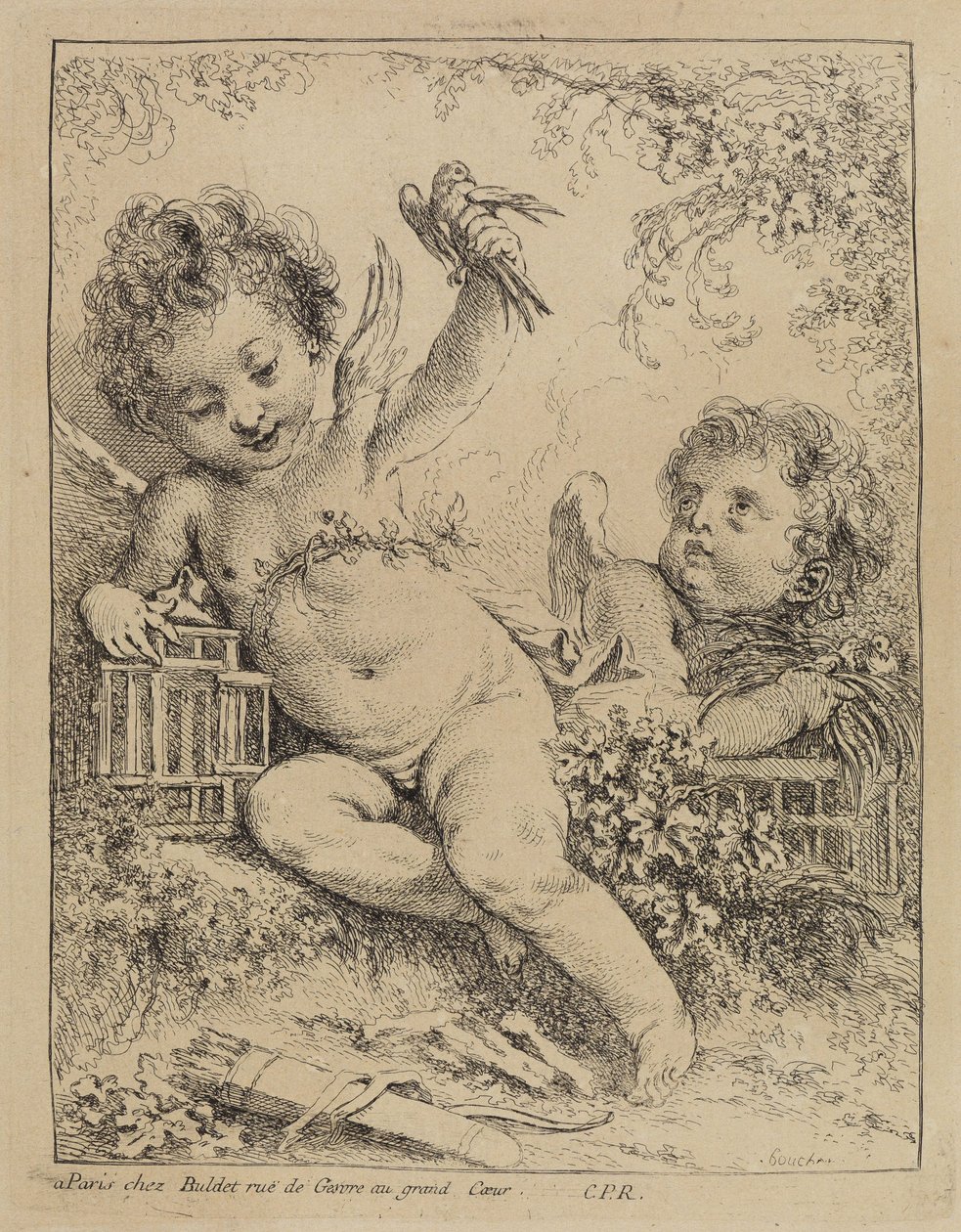 Die eingesperrte Turteltaube von François Boucher
