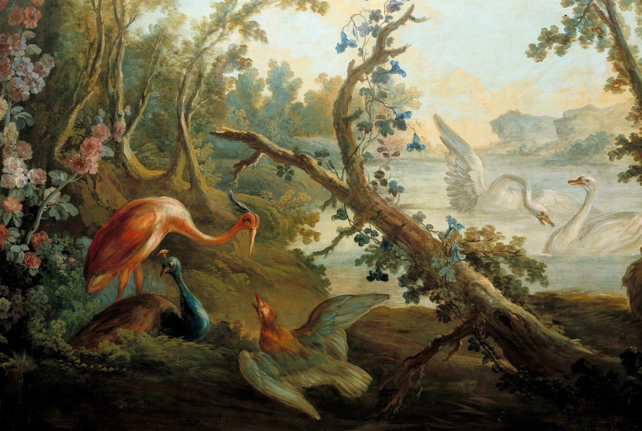 Schwäne und Pfauen von François Boucher