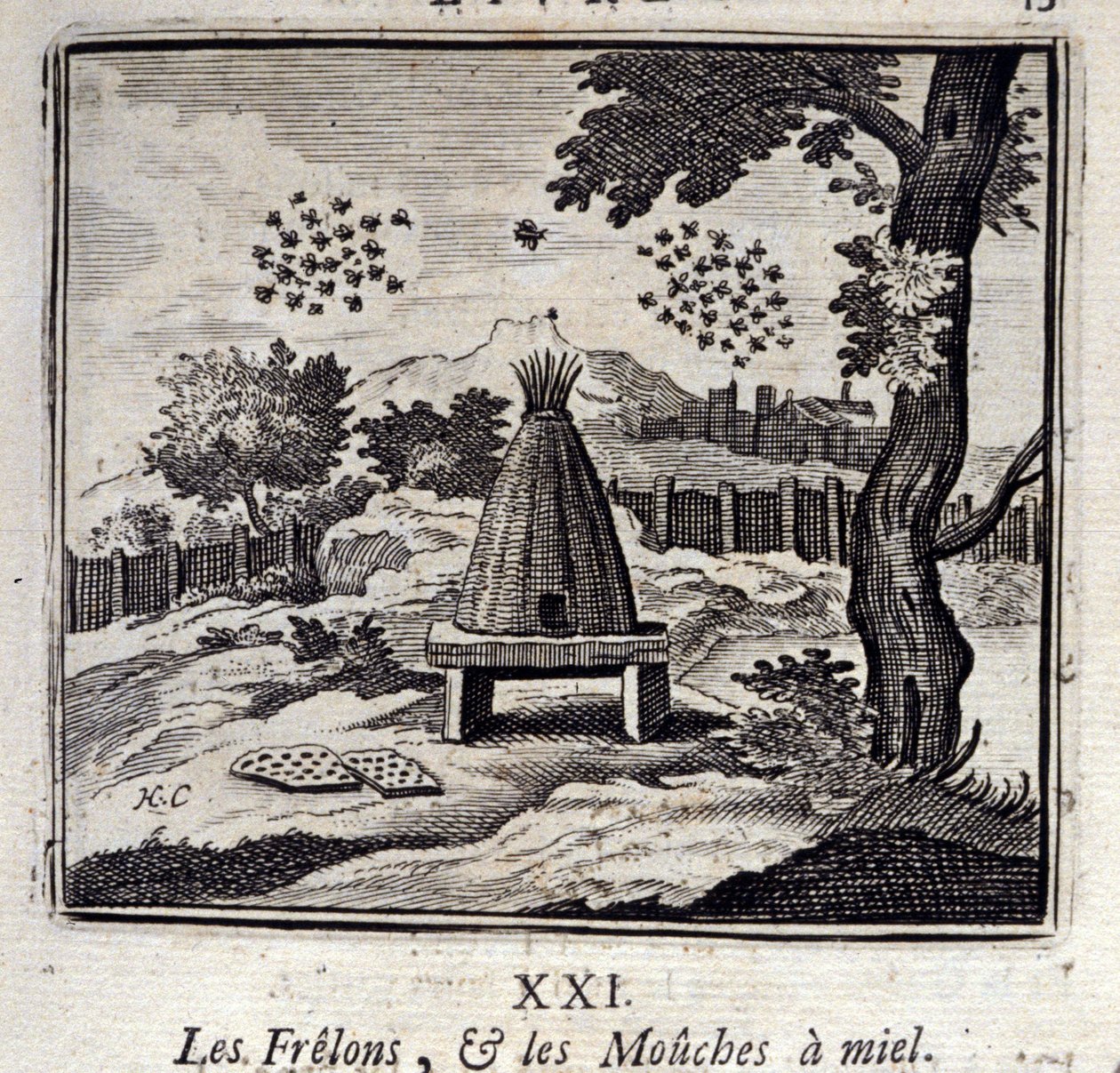 Hornissen und Honigfliegen. Fabeln von Jean de La Fontaine. Illustration von François Chauveau. Ausgabe von 1728. von Francois Chauveau