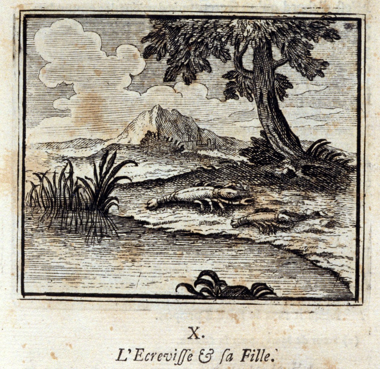 Der Krebs und seine Tochter. Fabeln von Jean de La Fontaine (1621-95). Illustration von François Chauveau (1613-1676). Ausgabe von 1728. von Francois Chauveau