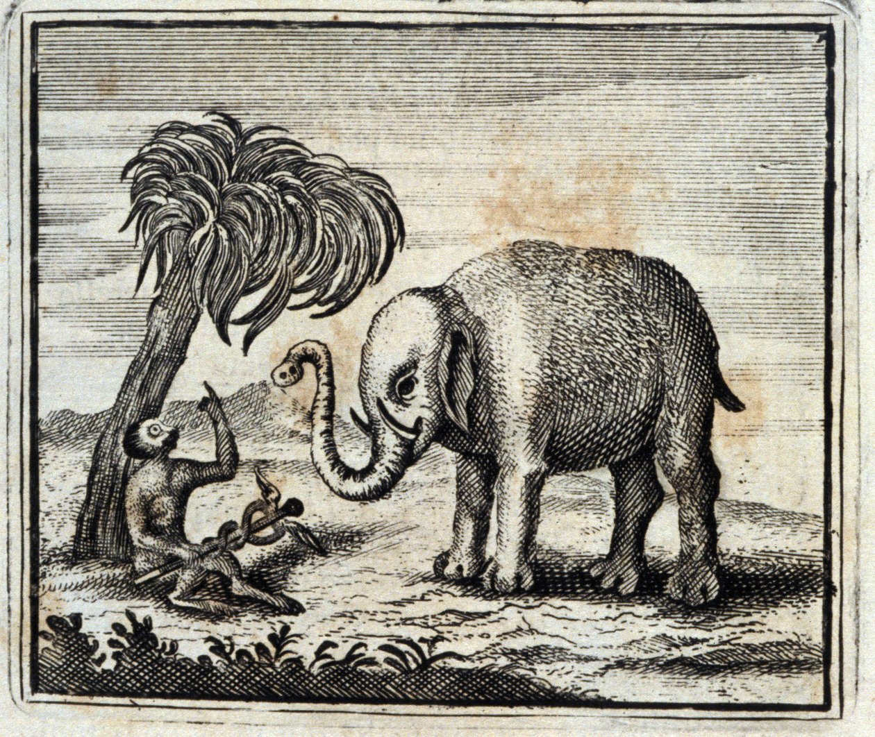 Der Elefant und der Affe des Jupiter. Fabeln von Jean de La Fontaine. Illustration von François Chauveau. Ausgabe von 1728 von Francois Chauveau