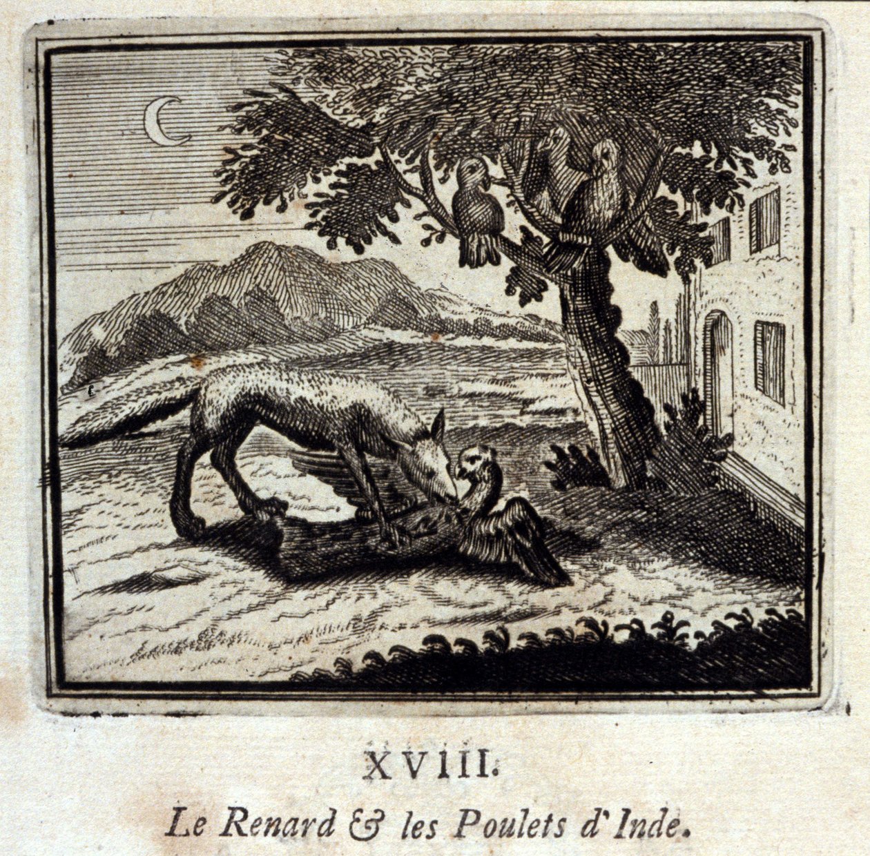 Der Fuchs und die Hühner von Indien. Fabeln von Jean de La Fontaine. Illustration von François Chauveau. Ausgabe von 1728. von Francois Chauveau